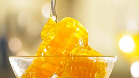 ПЧЕЛАРСКИ САЈАМ