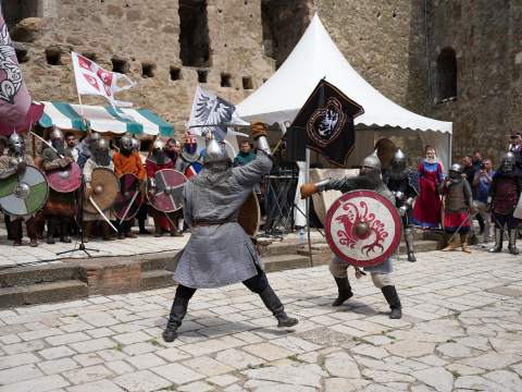 МЕЂУНАРОДНИ ФЕСТИВАЛ „ВИТЕЗОВИ И ЛЕГЕНДЕ“