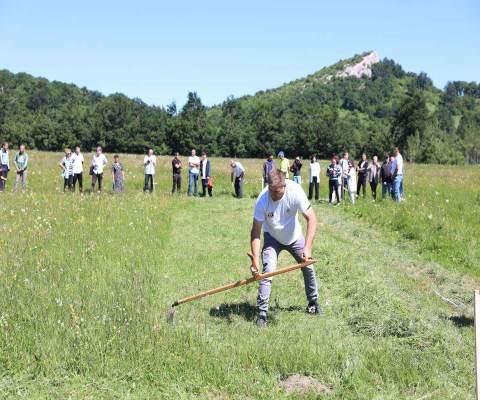"КОСИДБА НА СТОЛУ"