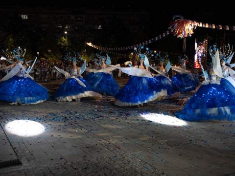 "КАРНЕВАЛ ЛЕСКОВAЦ"