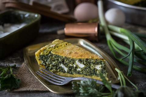 "ДАНИ ЗЕЉАНИКА"