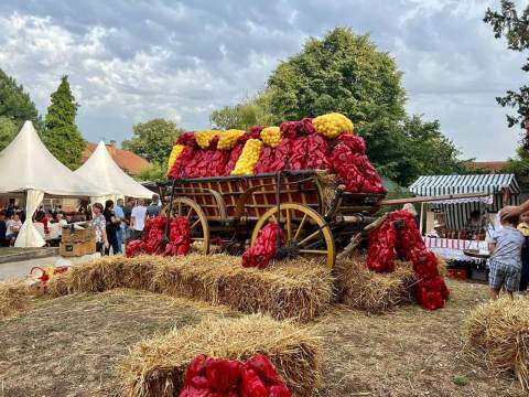 "ДАНИ ПАПРИКЕ"