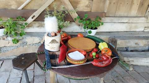 "ДАНИ ПРОЈЕ И СИРА"