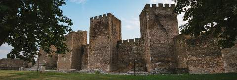 МЕЂУНАРОДНИ ФИЛМСКИ ФЕСТИВАЛ „ДУНАВ ФИЛМ ФЕСТ“