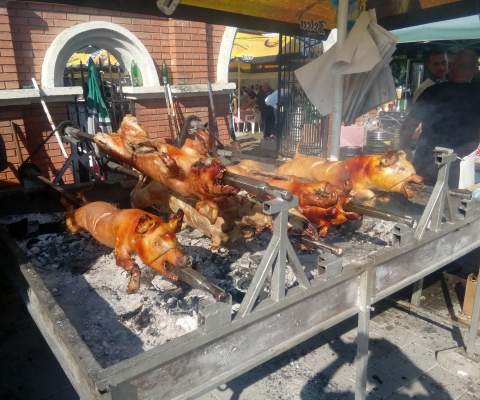 „ПЕЧЕЊИЈАДА У СТОПАЊИ”