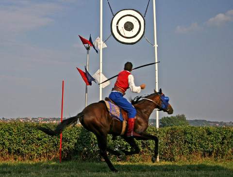 "ЉУБИЧЕВСКЕ КОЊИЧКЕ ИГРЕ"