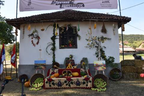 „ДОБРИЧИНО ПРАСКОЗОРЈЕ“