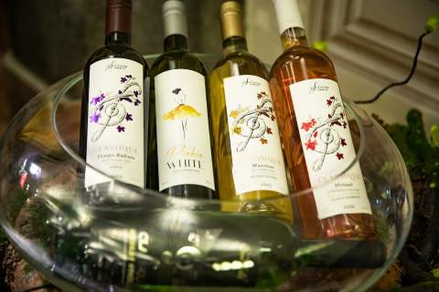 "ДАНИ БЕРБЕ ГРОЖЂА - ГРОЖЂЕБАЛ"