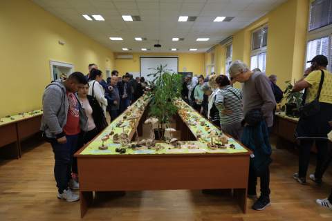 "ИЗЛОЖБА ГЉИВА"