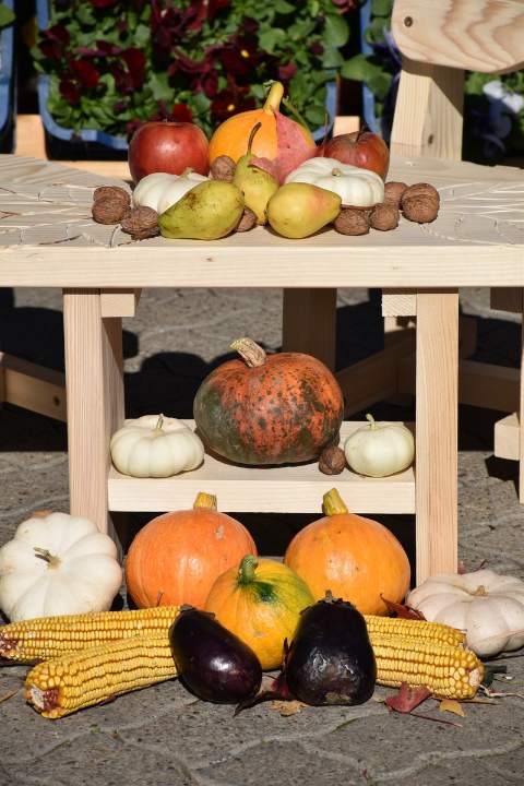 САЈАМ "МАГИЧНА ЈЕСЕН"