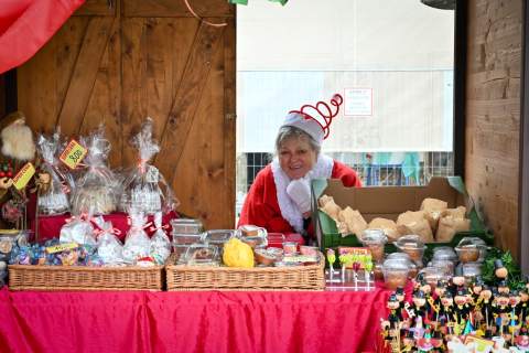 "КАРЛОВАЧКА БОЖИЋНА ИДИЛА"