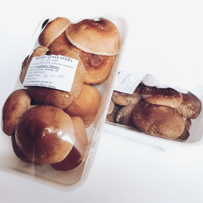 Šitake pečurke sveže